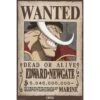 One Piece - Wanted Whitebeard - Poster
