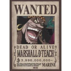 One Piece - Wanted Shanks & Blackbeard - 2 Poster-Set 6 One Piece - Wanted Shanks & Blackbeard - 2 Poster-Set -Yvolve Verkäufe GBYDCO688c
